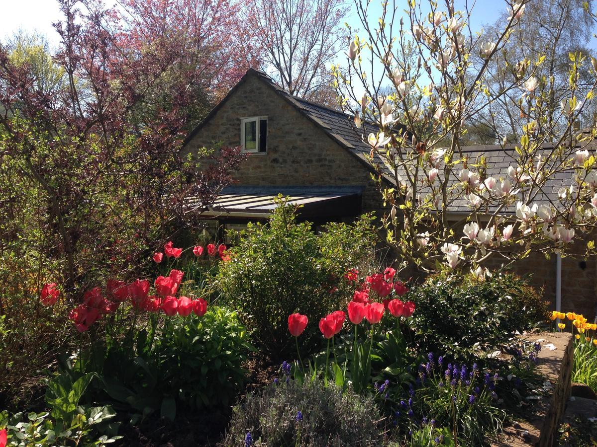 Bagnell Cottage Chiselborough Exterior foto