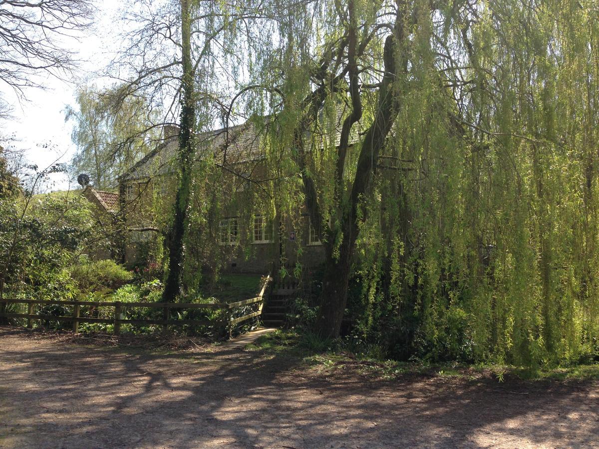 Bagnell Cottage Chiselborough Exterior foto