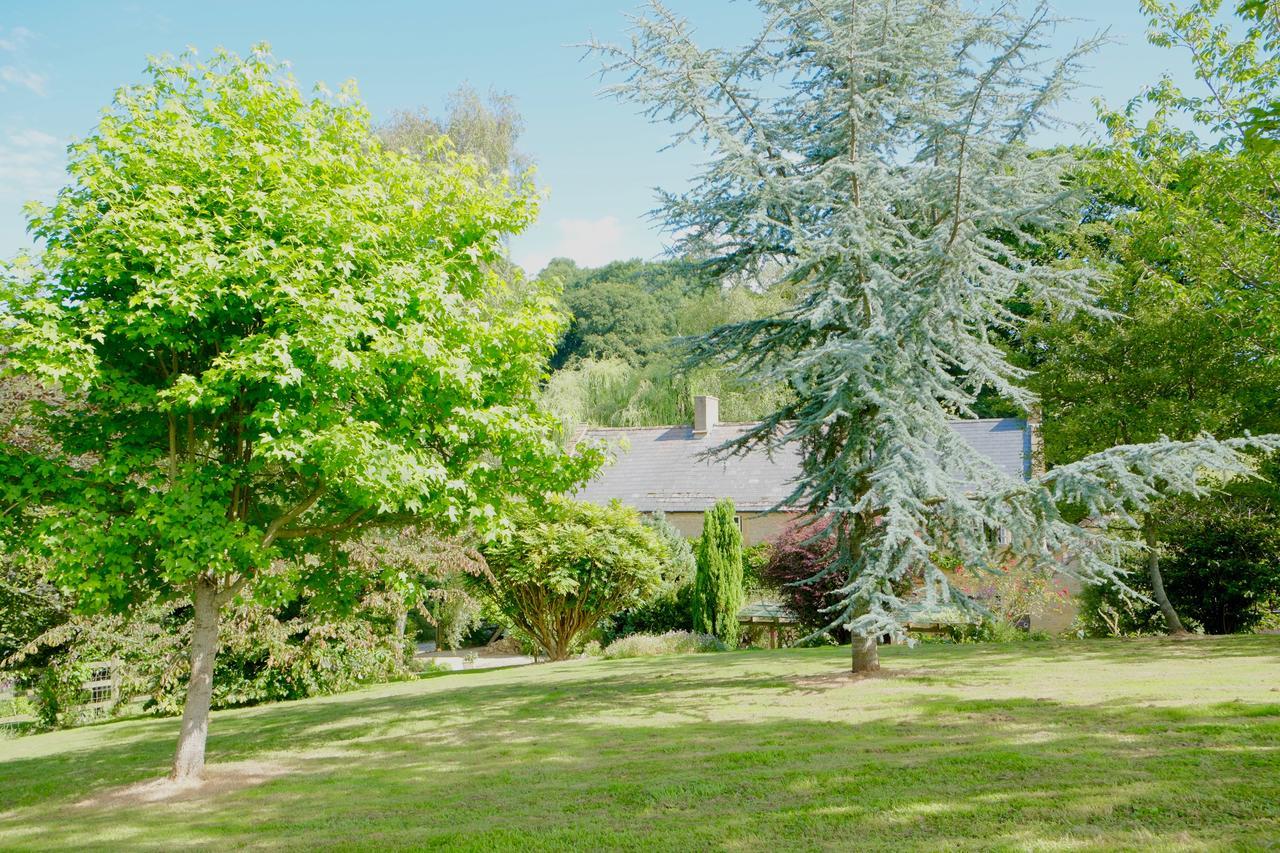 Bagnell Cottage Chiselborough Exterior foto