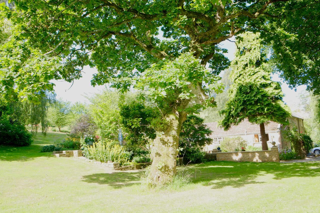 Bagnell Cottage Chiselborough Exterior foto